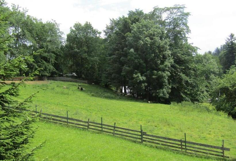 بنسيون Mylak Bianca