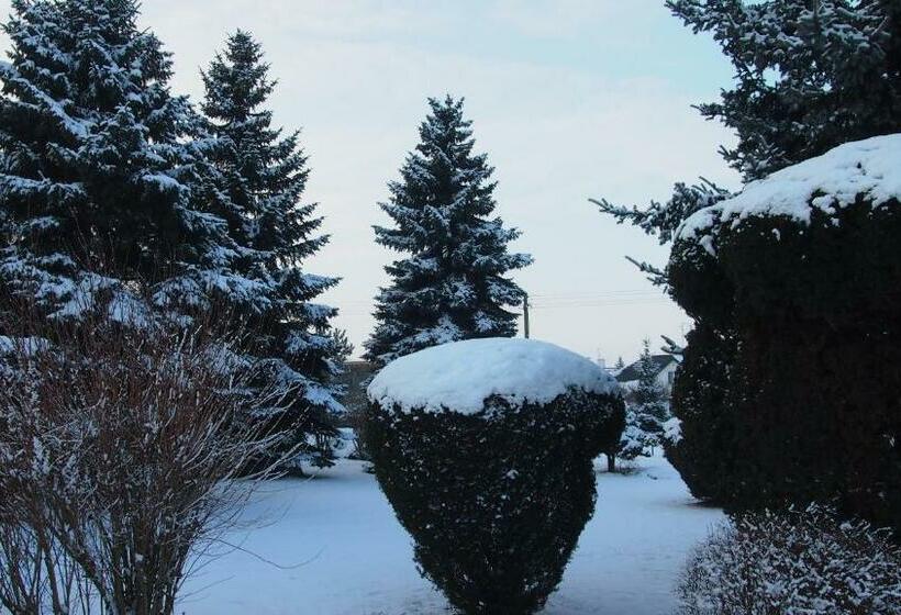 Пансион Noclegi Pod Lasem