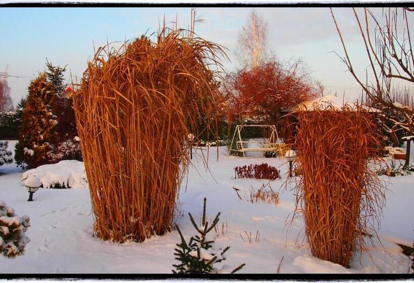 Пансион Noclegi Pod Lasem