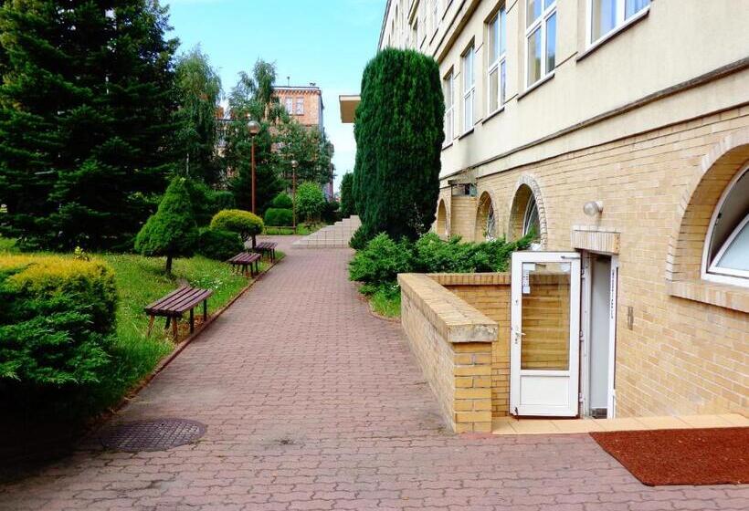 هاستل Ik Elka Sen