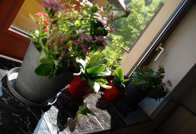 تختخواب و صبحانه Ośrodek Wypoczynkowy Pod Stokiem