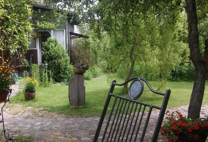 Bed and Breakfast Stary Dom