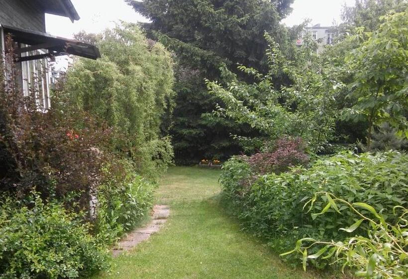 Bed and Breakfast Stary Dom