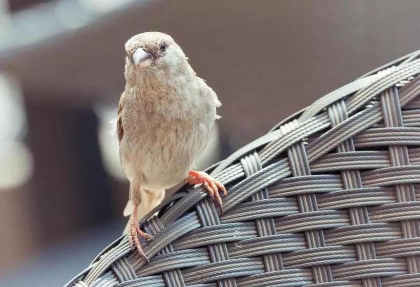 Aamiaismajoitus (B&B) Willa 777 Krasickiego