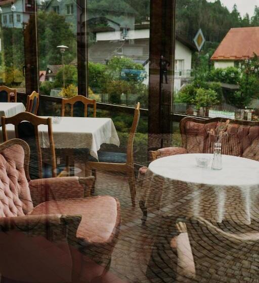 Bed and Breakfast Willa Brygida Spa