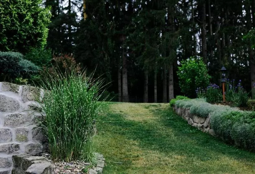 Aamiaismajoitus (B&B) Willa Brygida Spa