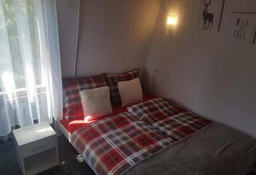 Bed and Breakfast Willa Grafit