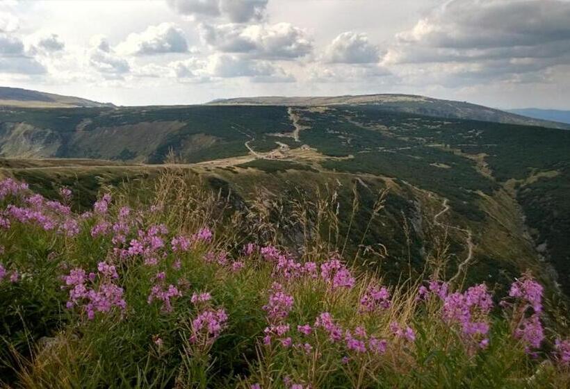 Bed and Breakfast Willa Grafit