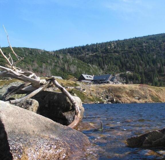 Bed and Breakfast Willa Grafit