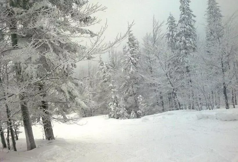 ホテル Pałac Bażantarnia