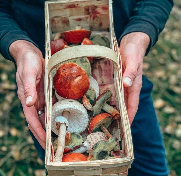 Resort Przystanek Tleń