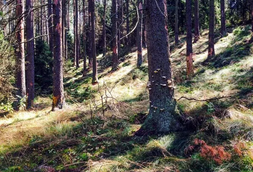 Lomakeskus Przystanek Tleń
