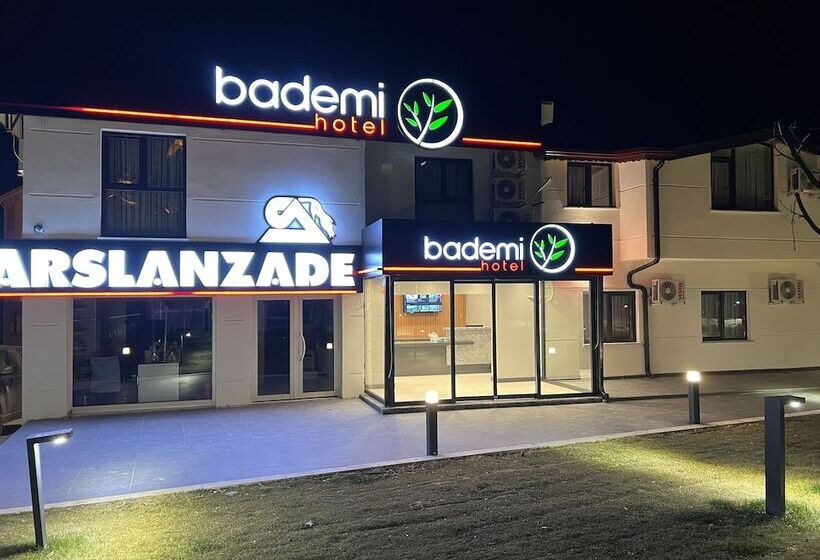 Hotel Bademi Room