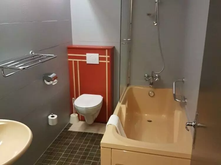 Hotelli Les Rives D Allier