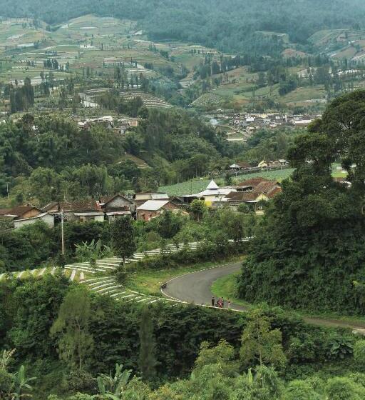 הוסטל Tree Love Temanggung