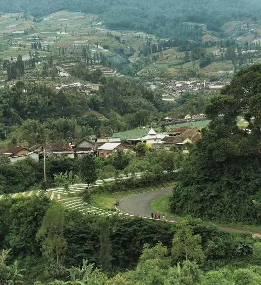 Herberge Tree Love Temanggung