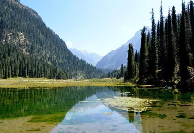 پانسیون кереге таш