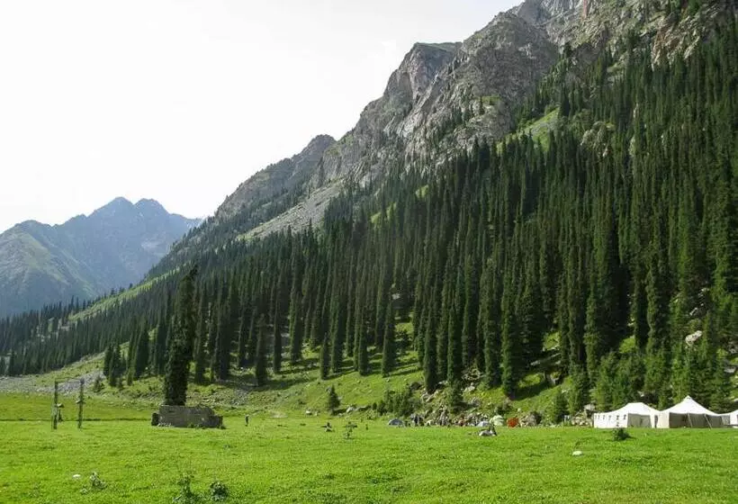 پانسیون кереге таш