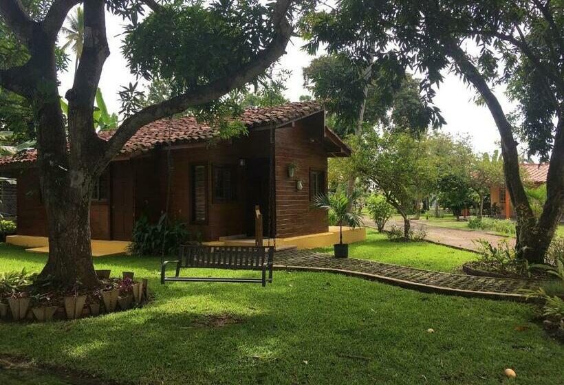 פנסיון Cabañas Ariza