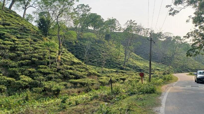 Kopou Hostel A Travellers  Community
