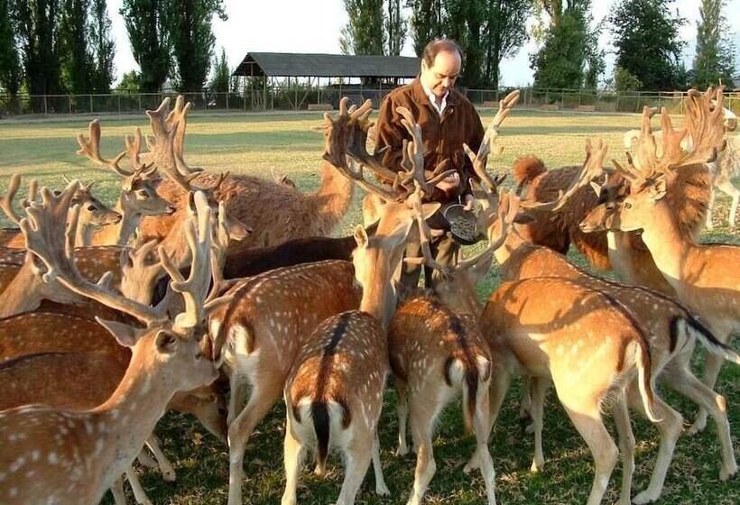 Bed & Breakfast Casa Los Ciervos