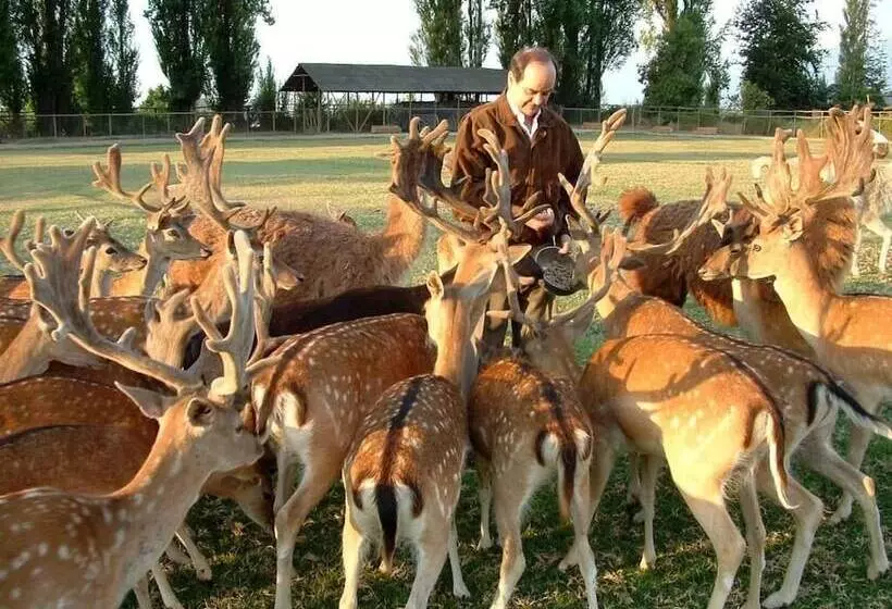 Aamiaismajoitus (B&B) Casa Los Ciervos