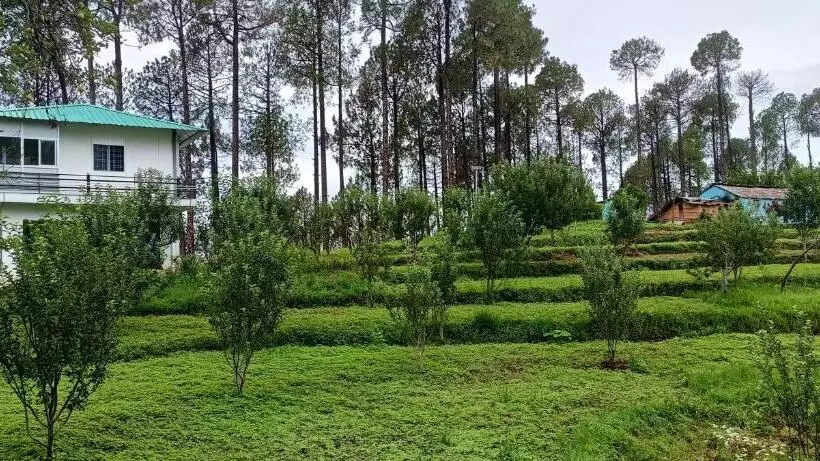 ホテル Nitya Village Retreat
