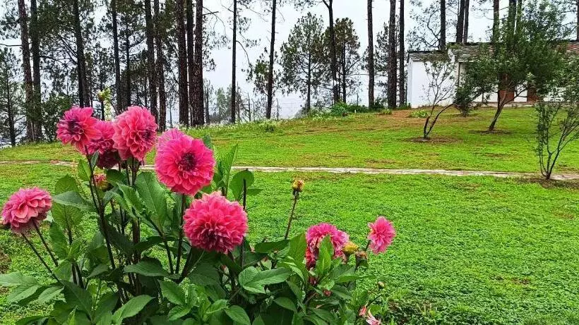 ホテル Nitya Village Retreat
