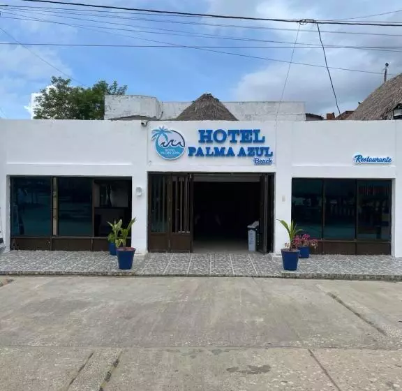 ホテル Palma Azul Beach
