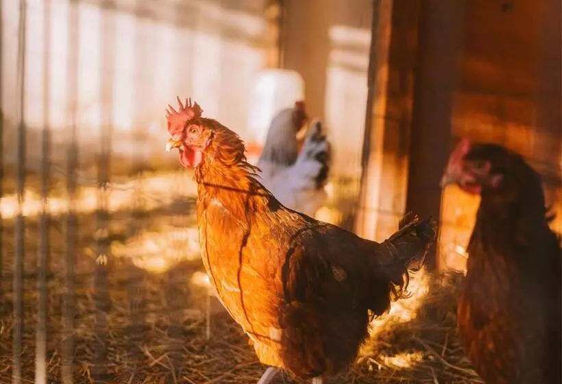 Retkeilymaja Cliff Surf House