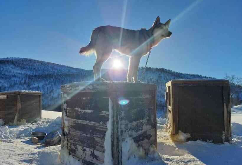 住宿加早餐  In Love With Norway