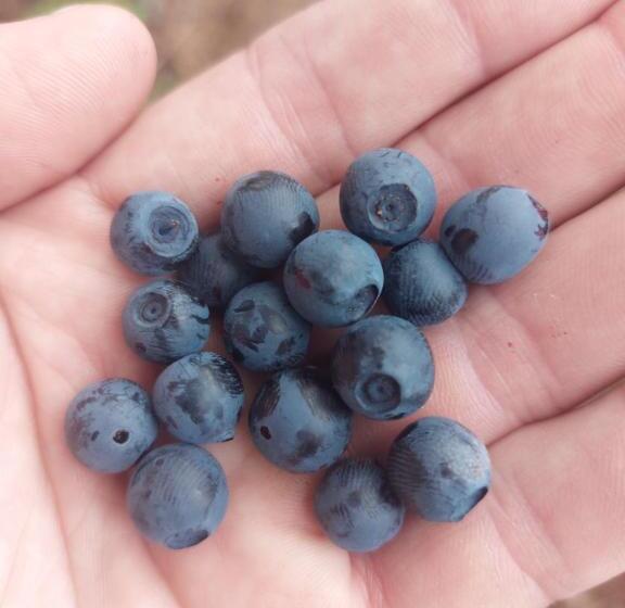 住宿加早餐  In Love With Norway