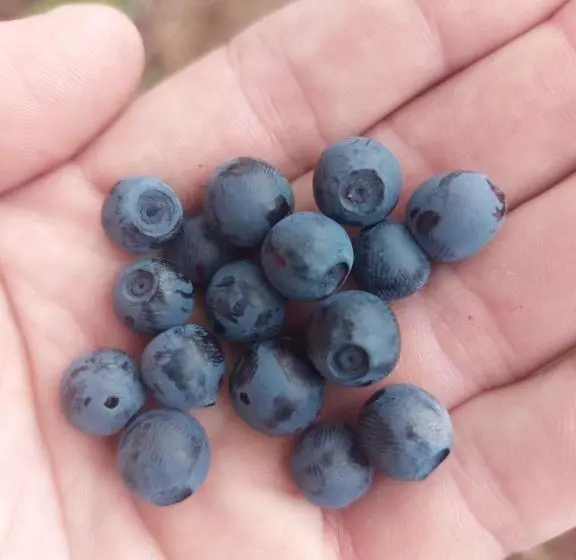 Aamiaismajoitus (B&B) In Love With Norway