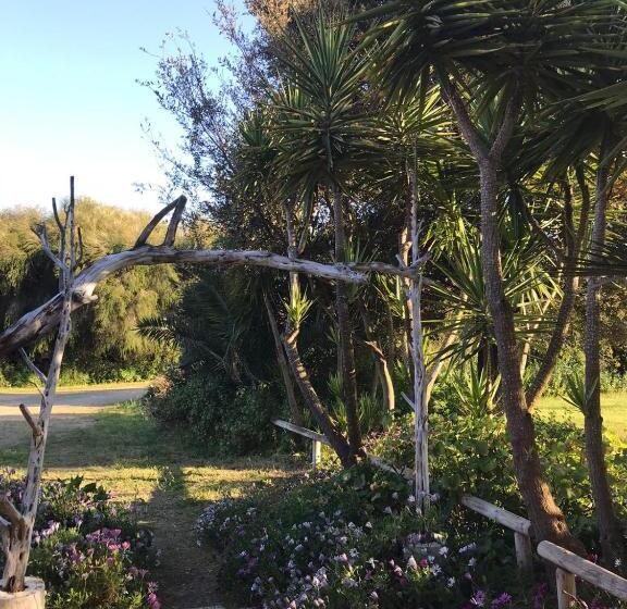 בית מלון כפרי Agriturismo Su Niu