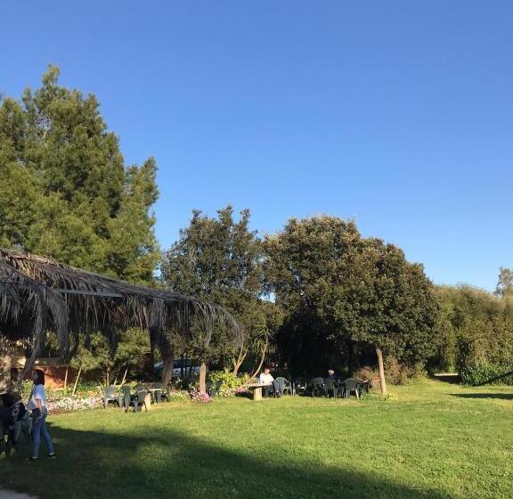 בית מלון כפרי Agriturismo Su Niu