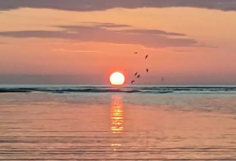 Hotelli Salvatierra Beachfront