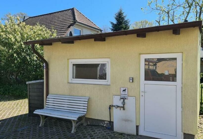 פנסיון Ostseebad Zinnowitz Knuffeliges Ferienzimmer Im Holzhaus