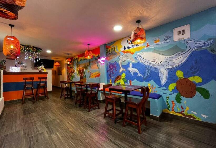 هاستل Acuarios Hostal