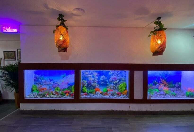 هاستل Acuarios Hostal