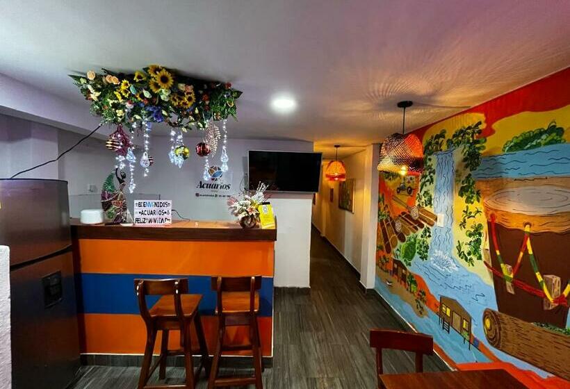 هاستل Acuarios Hostal