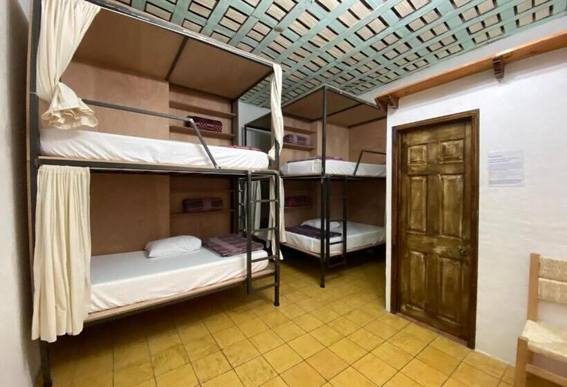 هاستل Posada El Palomar