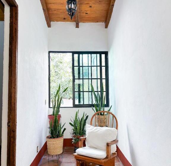 هاستل Posada El Palomar