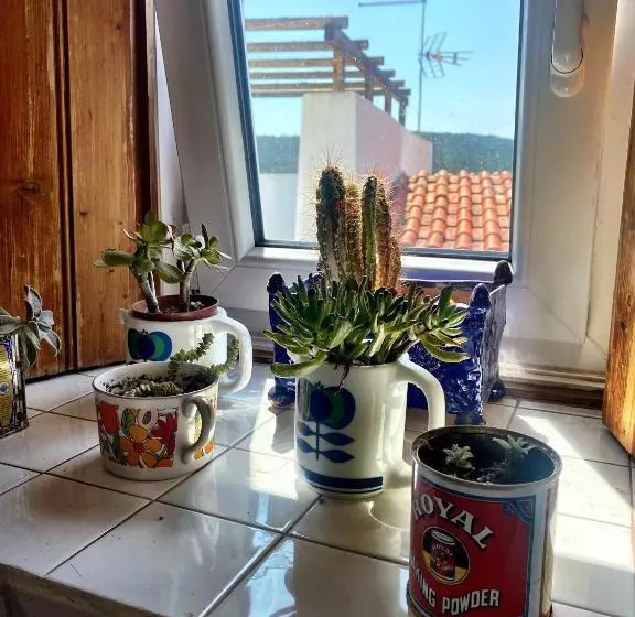 ベッドアンドブレックファースト Casa Do Torreão