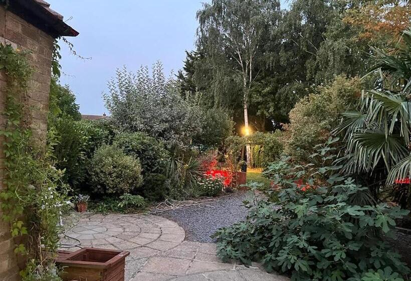 住宿加早餐  The Elegance