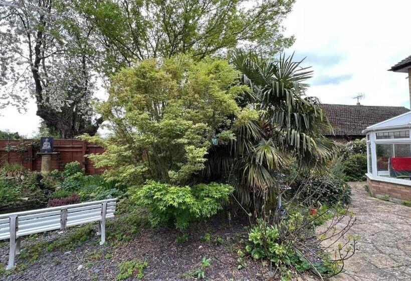 住宿加早餐  The Elegance