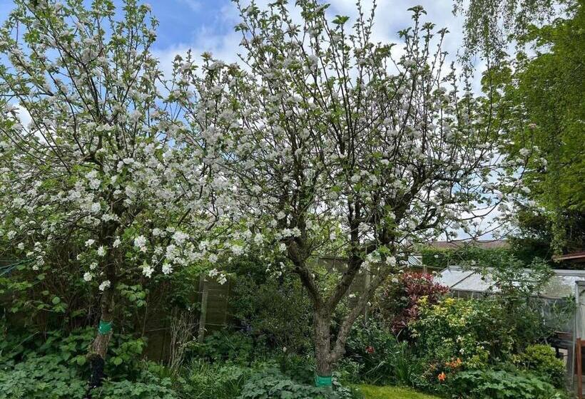 住宿加早餐  The Elegance