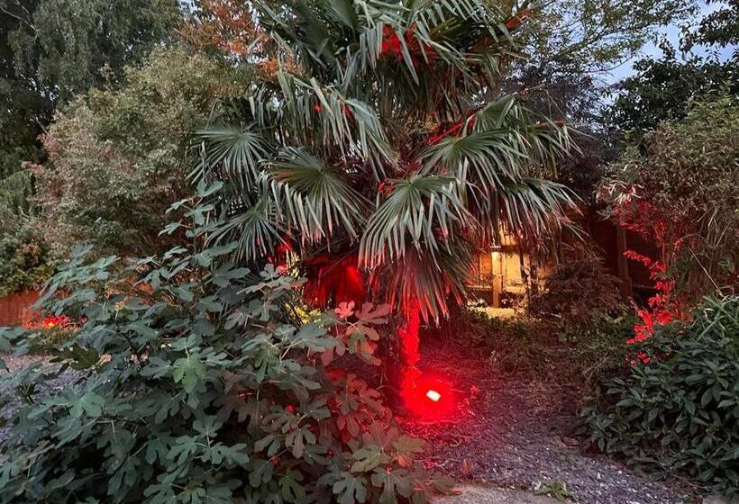 住宿加早餐  The Elegance