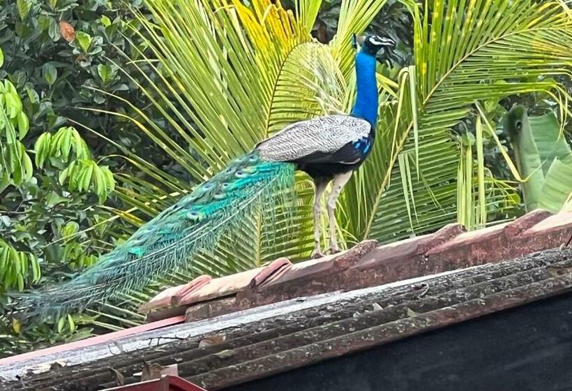 Bed and Breakfast Villa De Nature