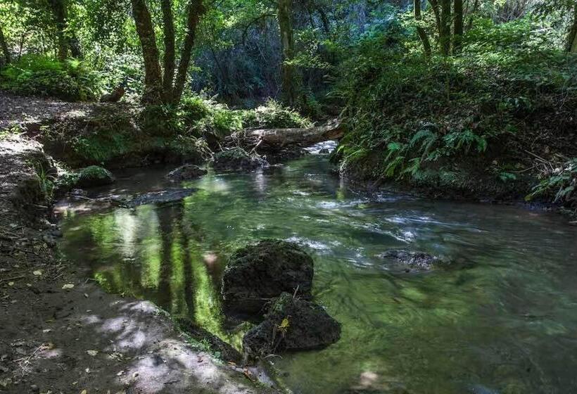 Отель Agriturismo Villa Amerina