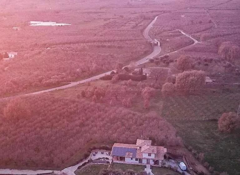 ホテル Agriturismo Villa Amerina